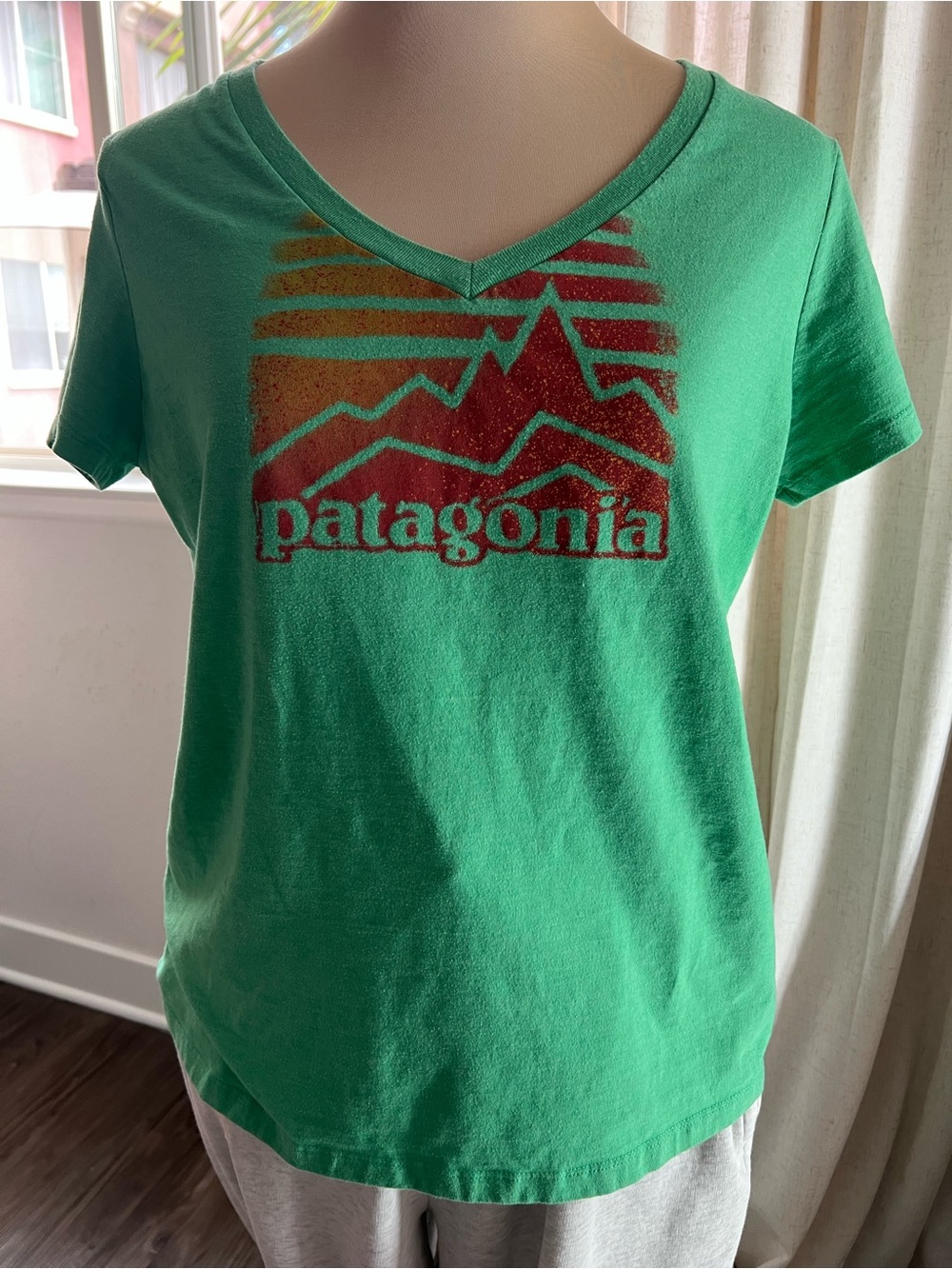 Patagonia vneck Tshirt